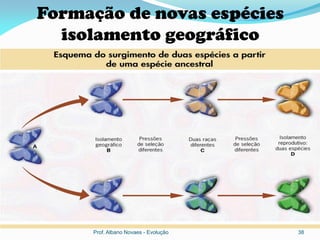 Formação de novas espécies
  isolamento geográfico




     Prof. Albano Novaes - Evolução   38
 