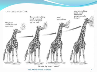 Lamarckismo




       Prof. Albano Novaes - Evolução   4
 