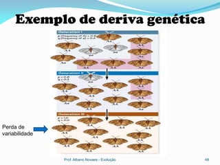 Exemplo de deriva genética




Perda de
variabilidade



                Prof. Albano Novaes - Evolução   48
 