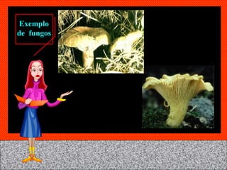 Exemplo de  fungos 
