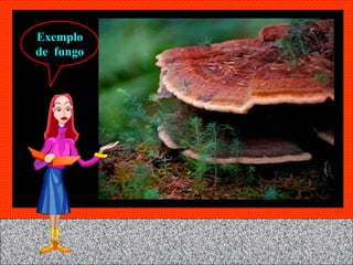 Exemplo de  fungo 