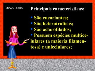 Principais características: São eucariontes; São heterotróficos; São aclorofilados; Possuem espécies multice-lulares (a maioria filamen-tosa) e unicelulares; I.E.C.P.  C.Nat. 