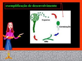 exemplificação de desenvolvimento 