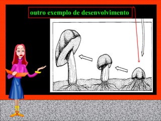 outro exemplo de desenvolvimento 