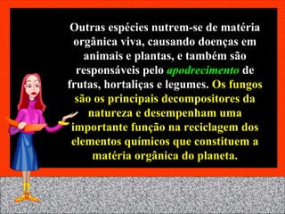 Outras espécies nutrem-se de matéria orgânica viva, causando doenças em animais e plantas, e também são responsáveis pelo  apodrecimento  de frutas, hortaliças e legumes.  Os fungos são os principais decompositores da natureza e desempenham uma importante função na reciclagem dos elementos químicos que constituem a matéria orgânica do planeta. 
