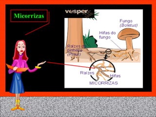 Micorrizas 