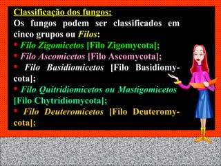 Classificação dos fungos: Os fungos podem ser classificados em cinco grupos ou  Filos : Filo Zigomicetos  [Filo Zigomycota]; Filo Ascomicetos  [Filo Ascomycota]; Filo Basidiomicetos  [Filo Basidiomy-cota]; Filo Quitridiomicetos ou Mastigomicetos  [Filo Chytridiomycota]; Filo Deuteromicetos  [Filo Deuteromy-cota]; 