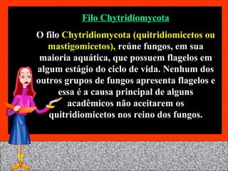 Filo Chytridiomycota O filo  Chytridiomycota (quitridiomicetos ou mastigomicetos),  reúne fungos, em sua maioria aquática, que possuem flagelos em algum estágio do ciclo de vida. Nenhum dos outros grupos de fungos apresenta flagelos e essa é a causa principal de alguns acadêmicos não aceitarem os quitridiomicetos nos reino dos fungos. 