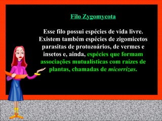 Filo Zygomycota Esse filo possui espécies de vida livre. Existem também espécies de zigomicetos parasitas de protozoários, de vermes e insetos e, ainda,   espécies que formam associações mutualísticas com raízes de plantas, chamadas de  micorrizas . 