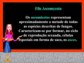 Filo Ascomycota Os  ascomicetos  representam aproximadamente a metade de todas as espécies descritas de fungos. Caracterizam-se por formar, no ciclo de reprodução sexuada, células especiais em forma de saco, os  ascos .  