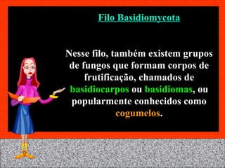 Filo Basidiomycota Nesse filo, também existem grupos de fungos que formam corpos de frutificação, chamados de  basidiocarpos  ou  basidiomas , ou popularmente conhecidos como  cogumelos . 