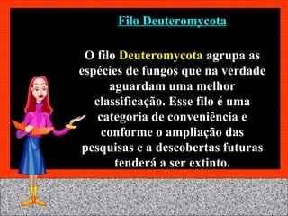 Filo Deuteromycota O filo  Deuteromycota  agrupa as espécies de fungos que na verdade aguardam uma melhor classificação. Esse filo é uma categoria de conveniência e conforme o ampliação das pesquisas e a descobertas futuras tenderá a ser extinto. 