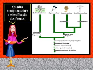 Quadro sinóptico sobre a classificação dos fungos. 