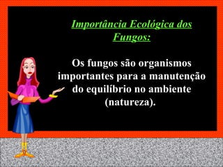 Importância Ecológica dos Fungos: Os fungos são organismos importantes para a manutenção do equilíbrio no ambiente (natureza).  