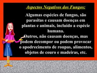 Aspectos Negativos dos Fungos: Algumas espécies de fungos, são parasitas e causam doenças em plantas e animais, incluído a espécie humana. Outros, não causam doenças, mas podem decompor ou podem provocar o apodrecimento de roupas, alimentos, objetos de couro e madeiras, etc. 