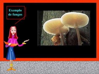 Exemplo de fungos 