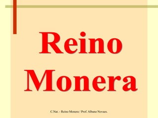 C.Nat. - Reino Monera / Prof. Albano Novaes.
 