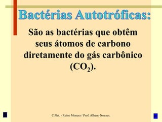 C.Nat. - Reino Monera / Prof. Albano Novaes.
São as bactérias que obtêm
seus átomos de carbono
diretamente do gás carbônico
(CO2).
 
