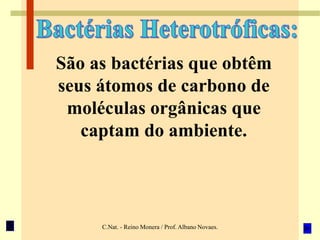 C.Nat. - Reino Monera / Prof. Albano Novaes.
São as bactérias que obtêm
seus átomos de carbono de
moléculas orgânicas que
captam do ambiente.
 