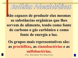 C.Nat. - Reino Monera / Prof. Albano Novaes.
São capazes de produzir elas mesmas
as substâncias orgânicas que lhes
servem de alimento, tendo como fonte
de carbono o gás carbônico e como
fonte de energia a luz.
Os grupos mais representativos são:
as proclófitas, as cianobactérias e as
sulfobactérias.
 