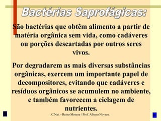C.Nat. - Reino Monera / Prof. Albano Novaes.
São bactérias que obtêm alimento a partir de
matéria orgânica sem vida, como cadáveres
ou porções descartadas por outros seres
vivos.
Por degradarem as mais diversas substâncias
orgânicas, exercem um importante papel de
decompositores, evitando que cadáveres e
resíduos orgânicos se acumulem no ambiente,
e também favorecem a ciclagem de
nutrientes.
 