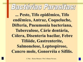 C.Nat. - Reino Monera / Prof. Albano Novaes.
... Peste, Tifo epidêmico, Tifo
endêmico, Antraz, Coqueluche,
Difteria, Pneumonia bacteriana,
Tuberculose, Cárie dentária,
Cólera, Disenteria bacilar, Febre
Tifóide, Gastrenterite,
Salmonelose, Leptospirose,
Cancro mole, Gonorréia e Sífilis.
 