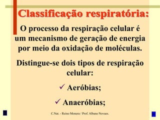 C.Nat. - Reino Monera / Prof. Albano Novaes.
O processo da respiração celular é
um mecanismo de geração de energia
por meio da oxidação de moléculas.
Distingue-se dois tipos de respiração
celular:
 Aeróbias;
 Anaeróbias;
 