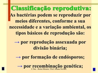 C.Nat. - Reino Monera / Prof. Albano Novaes.
As bactérias podem se reproduzir por
meios diferentes, conforme a sua
necessidade e a variação ambiental, os
tipos básicos de reprodução são:
→ por reprodução assexuada por
divisão binária;
→ por formação de endósporos;
→ por recombinação genética;
 