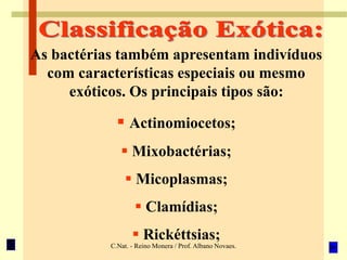 C.Nat. - Reino Monera / Prof. Albano Novaes.
As bactérias também apresentam indivíduos
com características especiais ou mesmo
exóticos. Os principais tipos são:
 Actinomiocetos;
 Mixobactérias;
 Micoplasmas;
 Clamídias;
 Rickéttsias;
 