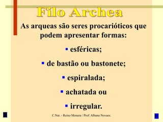 C.Nat. - Reino Monera / Prof. Albano Novaes.
As arqueas são seres procarióticos que
podem apresentar formas:
 esféricas;
 de bastão ou bastonete;
 espiralada;
 achatada ou
 irregular.
 