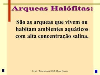 C.Nat. - Reino Monera / Prof. Albano Novaes.
São as arqueas que vivem ou
habitam ambientes aquáticos
com alta concentração salina.
 