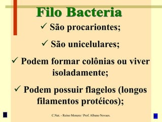 C.Nat. - Reino Monera / Prof. Albano Novaes.
 São procariontes;
 São unicelulares;
 Podem formar colônias ou viver
isoladamente;
 Podem possuir flagelos (longos
filamentos protéicos);
 
