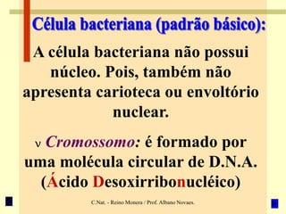 C.Nat. - Reino Monera / Prof. Albano Novaes.
A célula bacteriana não possui
núcleo. Pois, também não
apresenta carioteca ou envoltório
nuclear.
v Cromossomo: é formado por
uma molécula circular de D.N.A.
(Ácido Desoxirribonucléico)
 