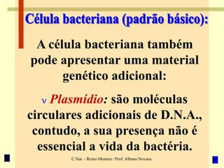 C.Nat. - Reino Monera / Prof. Albano Novaes.
A célula bacteriana também
pode apresentar uma material
genético adicional:
v Plasmídio: são moléculas
circulares adicionais de D.N.A.,
contudo, a sua presença não é
essencial a vida da bactéria.
 