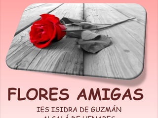 FLORES AMIGAS  IES ISIDRA DE GUZMÁN ALCALÁ DE HENARES 