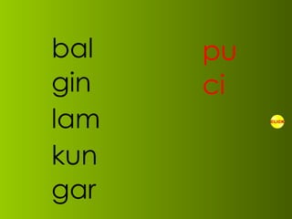 bal gin lam kun gar pu ci 