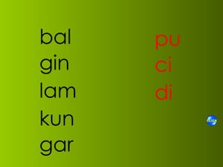 bal gin lam kun gar pu ci di 