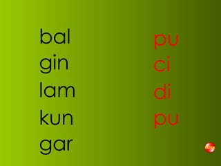 bal gin lam kun gar pu ci di pu 