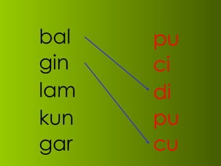 bal gin lam kun gar pu ci di pu cu 