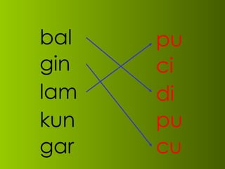 bal gin lam kun gar pu ci di pu cu 