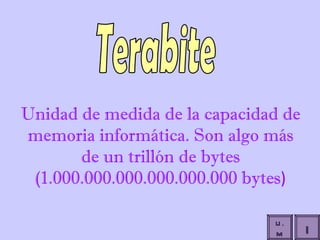 Unidad de medida de la capacidad de memoria informática. Son algo más de un trillón de bytes (1.000.000.000.000.000.000 bytes ) Terabite I U.M 
