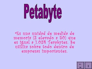 Es una unidad de medida de memoria (2 elevado a 50) que es igual a 1.024 Terabytes. Se utiliza sobre todo dentro de empresas importantes. Petabyte I U.M 