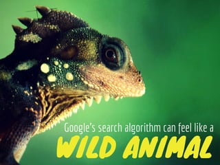 Panda, Penguin, Pigeon: How do Google's animal-themed search engine updates affect your website?