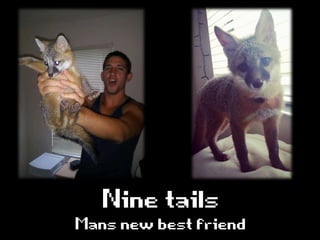 Mansnewbestfriend
Ninetails
 