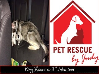 Dog Lover andVolunteerPhoto by Zannah Leeds http://www.petrescuebyjudy.com/info/display?PageID=12912
 