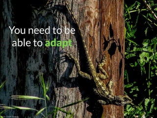 Photo Credit: Pixabay
You need to be
able to adapt
 
