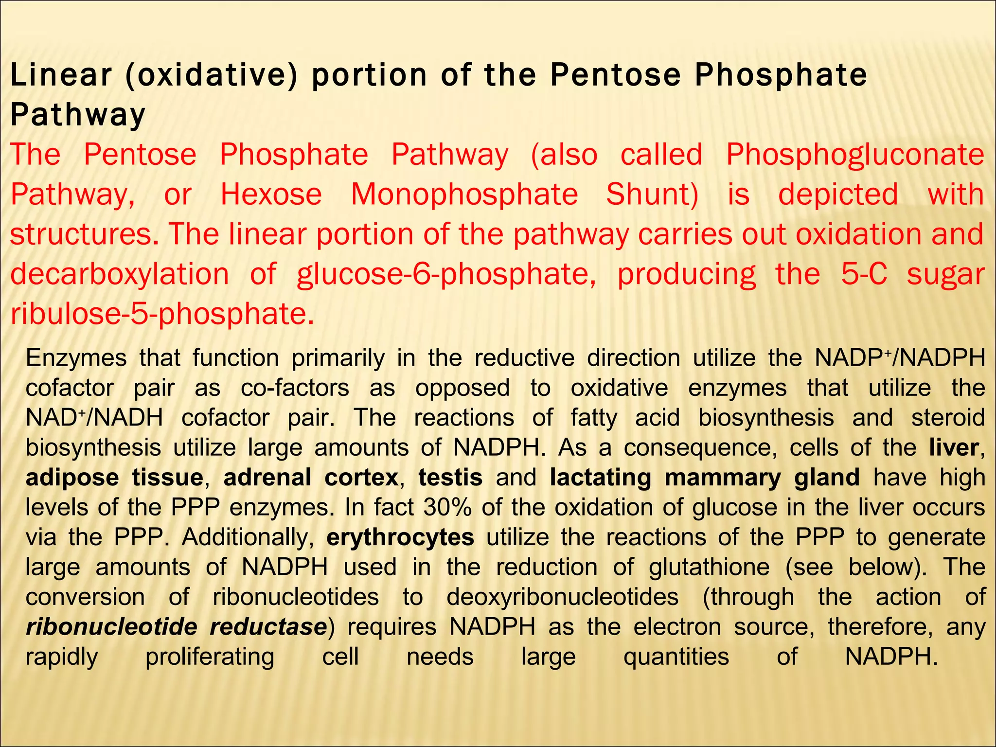 Select True Statements About The Pentose Phosphate Pathway.