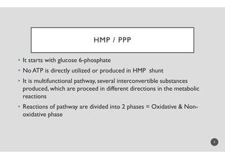 Pentose phosphate pathway (PPP) | PDF