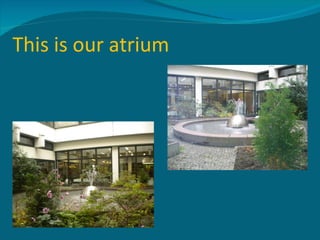 This is our atrium 