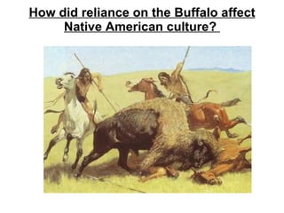 How did reliance on the Buffalo affect Native American culture?  